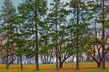 Hog's Back Park_15407